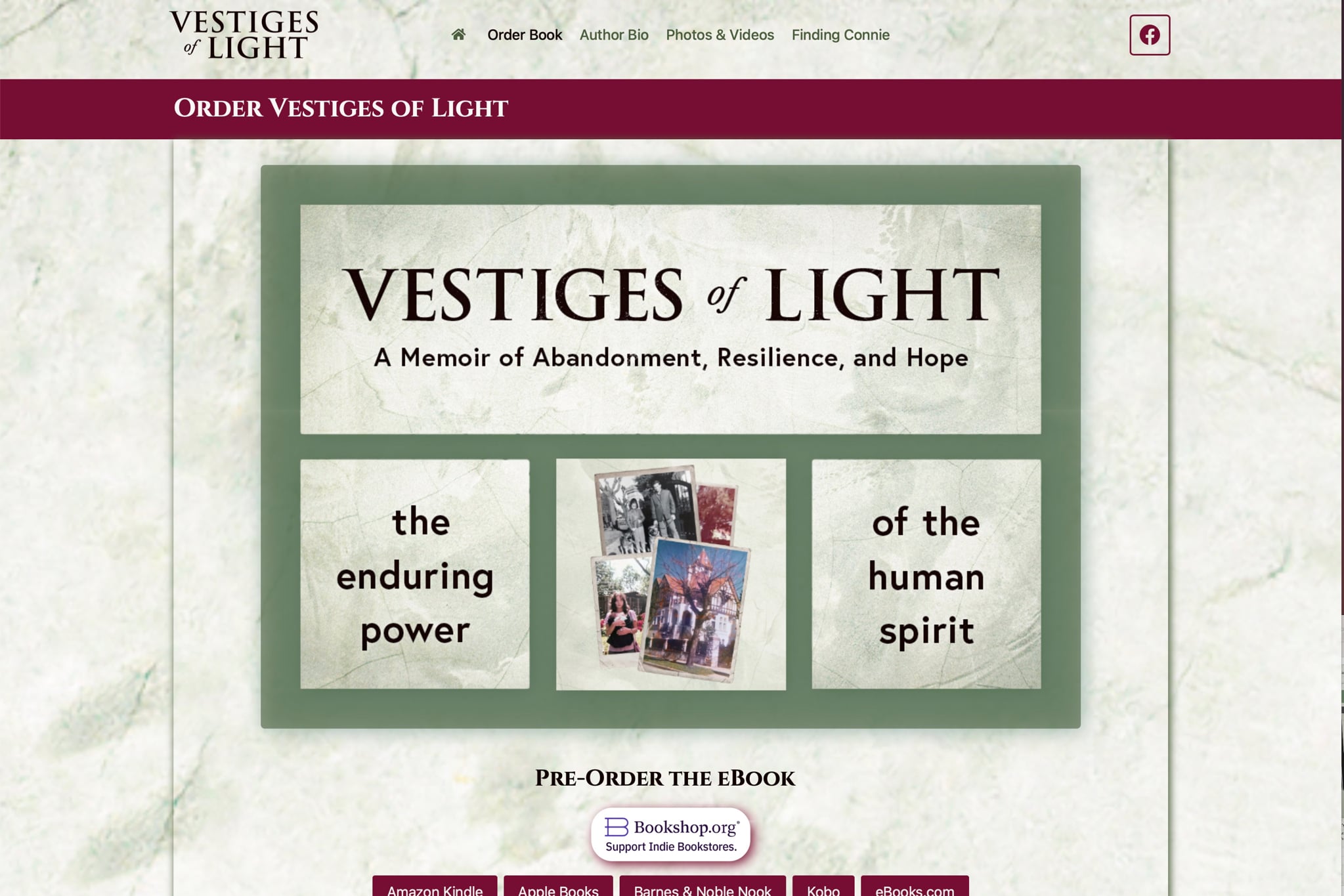 Vestiges of Light Book Order Page Screenshot